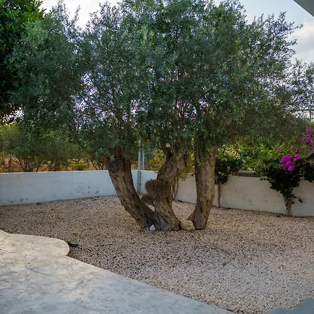 Villa Olivo Maroni